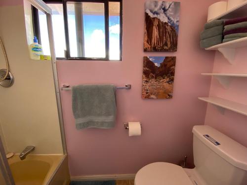 a pink bathroom with a toilet and a window at Sandcreek Cottage / Fabulous Views on Five Acres in Torrey