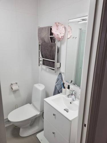 a bathroom with a toilet and a sink and a mirror at Renovated Georgian esque style apartment in Malmö