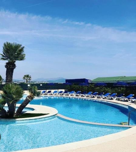 une piscine avec des chaises longues et un palmier dans l'établissement Charmant studio, à Villeneuve-Loubet