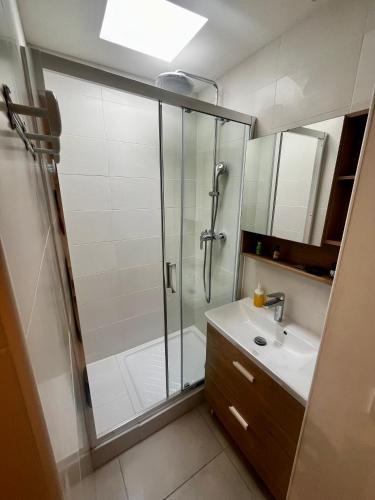 ein Bad mit einer Dusche und einem Waschbecken in der Unterkunft appartement 2 pièces in Vallauris