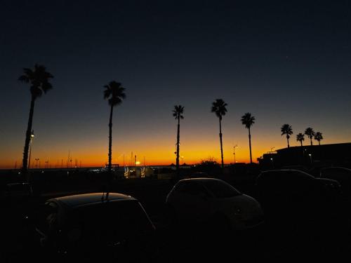 a sunset with palm trees and cars in a parking lot at Residence Canella in Sari Solenzara