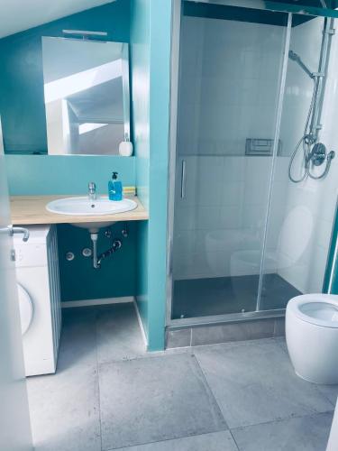 a bathroom with a shower and a sink and a toilet at Affittacamere Nonna Ida in Carpi