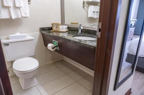 a bathroom with a toilet and a sink at Quality Inn Milan-Sandusky in Milan