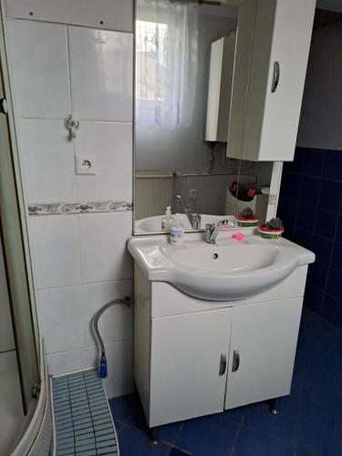a bathroom with a white sink and a shower at Marie in Ludgeřovice