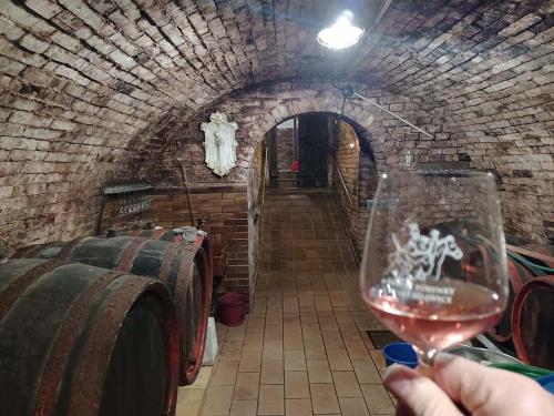 a person holding a glass of wine in a wine cellar at Sklep u Hrabalů in Velké Bílovice