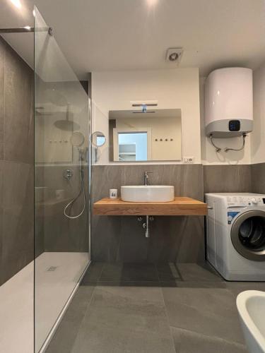 een badkamer met een wastafel en een wasmachine bij La pavoncella pula in Pula