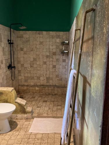 a bathroom with a toilet and a green wall at PASA LODGE ZANZIBAR in Nungwi