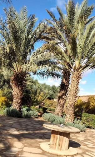 a bench in a park with two palm trees at AUBERGE DES ANGES in Zrigat
