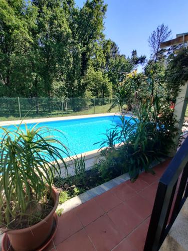 a swimming pool with plants on a patio at Sossego na cidade in Viseu
