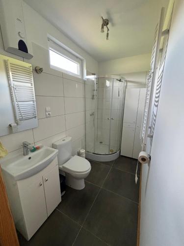 a bathroom with a shower and a toilet and a sink at Siedlisko Julitkowo in Człopa