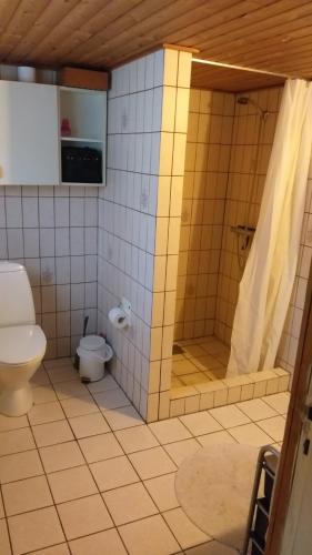 a bathroom with a shower and a toilet at White house 51 in Horsens