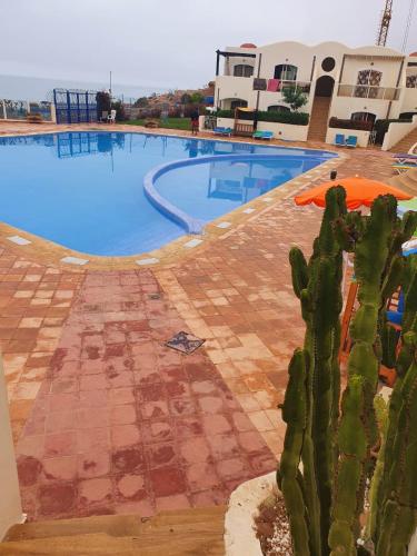 a large swimming pool with a cactus in front of it at résidence les meridiennes tiguert in Agadir