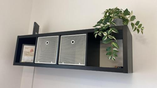 a black cabinet with a plant on a wall at Tiburtina Flats in Rome