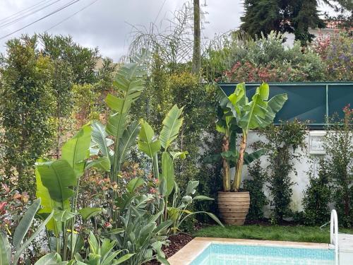a garden with a swimming pool and plants at Retreat Villa, Full Amenities, up to 40ppl in Lisbon