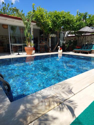 Billede fra billedgalleriet på BADEMİÇİ OTEL i Alacati