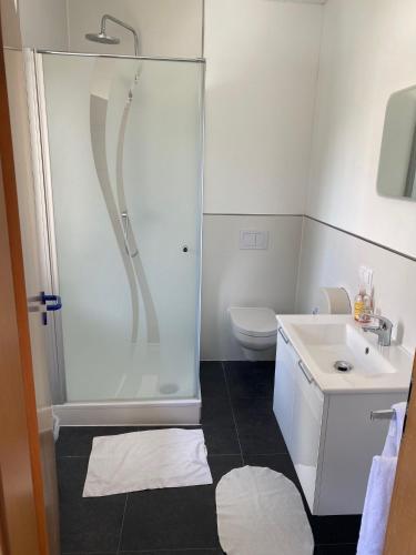 a bathroom with a shower and a toilet and a sink at Gasthaus Rogge in Lemgo