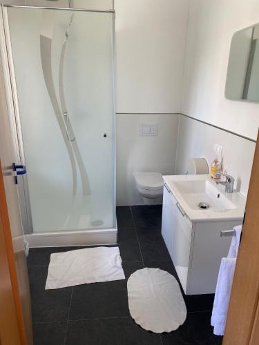 a bathroom with a shower and a sink and a toilet at Gasthaus Rogge in Lemgo