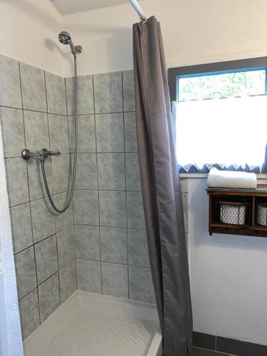 a shower with a shower curtain in a bathroom at Rusticus1706 in Lavertezzo