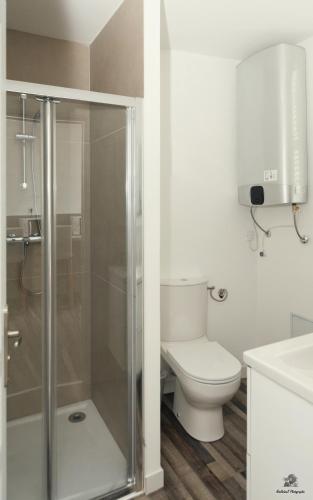 une salle de bain avec toilettes et douche en verre dans l'établissement La résidence Jeanne d'Arc 5, Troyes - France, à Troyes