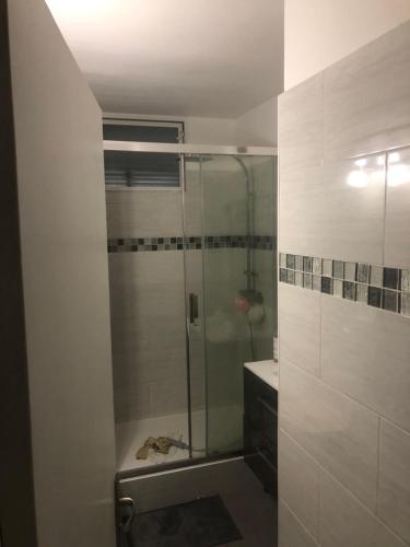 y baño con ducha acristalada y lavamanos. en Appartement 70 m2 proche Paris JO, en Épinay-sur-Seine