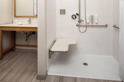 a bathroom with a sink and a shower at Hotel Ursa in Orono