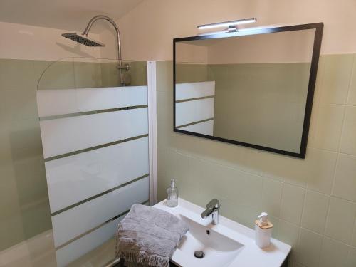 een badkamer met een wastafel en een spiegel bij Pavatou in Aurillac