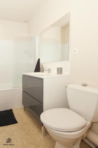 une salle de bain avec toilettes, lavabo et miroir dans l'établissement Les Jardins d'Hermès, à Troyes