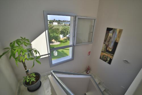 a bathroom with a potted plant and a window at A casa di Sofia in Porto Cesareo