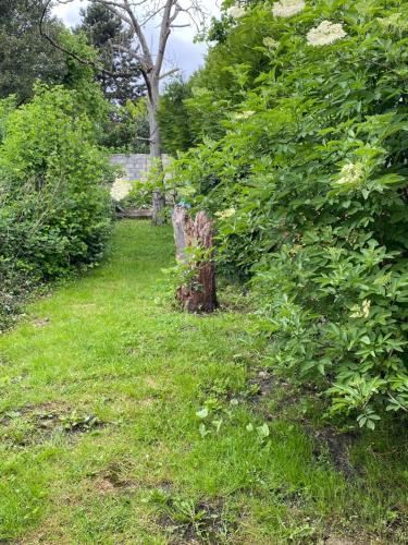 Photo de la galerie de l'établissement Studio F2 avec Jardin proche de Paris, à Livry-Gargan