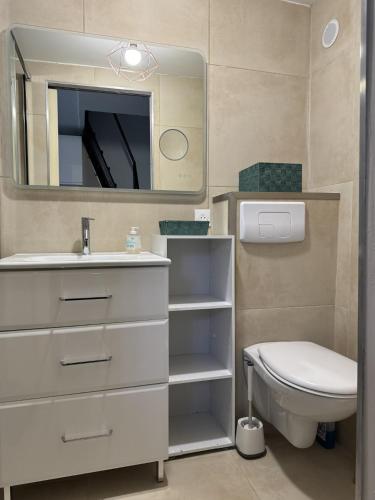 une salle de bain avec un lavabo, des toilettes et un miroir dans l'établissement Maison de 40m2,Clim, Wifi, jardin et parking, à Marseille