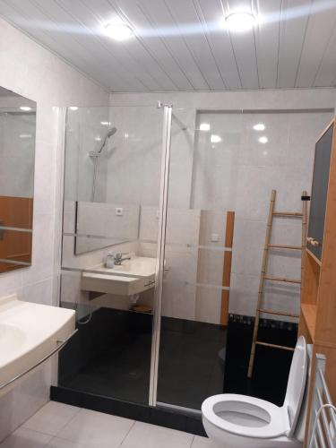 a bathroom with a shower and a toilet and a sink at chez Chantal zone touristique garage gratuit in Salou
