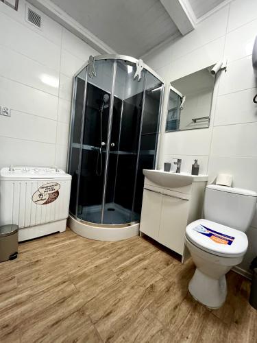 a bathroom with a shower and a toilet and a sink at Siedlisko Nad Potokiem in Hołuczków