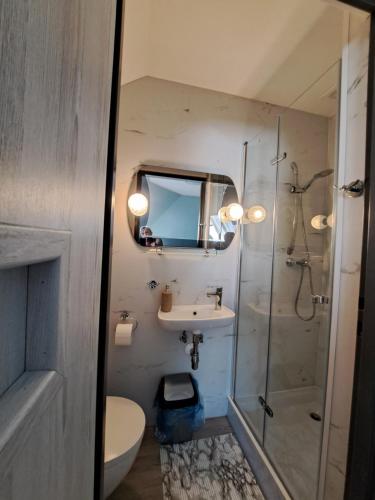 a bathroom with a toilet and a sink and a shower at Mickiewiczówka in Nickelswalde