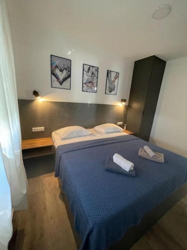 Luxury apartment Sofia 2