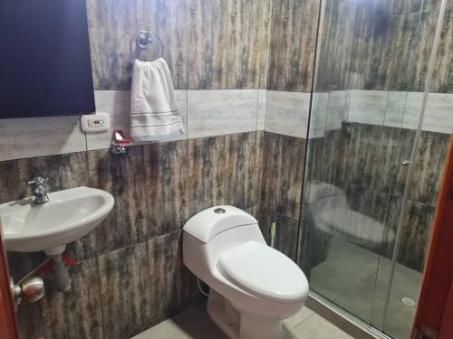 een badkamer met een toilet, een wastafel en een douche bij Apartamento Hermoso Riosucio 201 in Ruiosucio