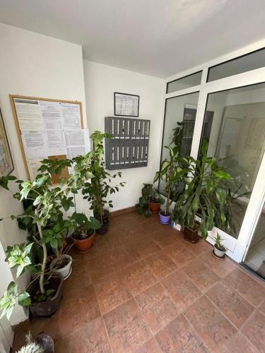 Een kamer met een stel potplanten erin. bij MR Apartman in Belgrado