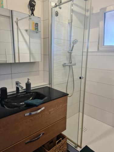 une salle de bain avec un lavabo et une douche dans l'établissement Appartement classé 3 étoiles, parking gratuit, proche centre-ville, à Colmar