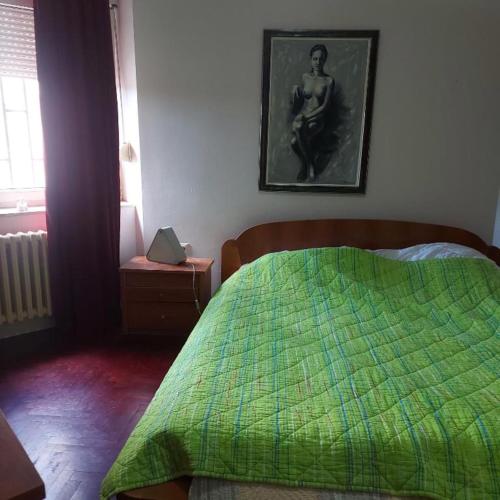 1 dormitorio con 1 cama con edredón verde en Exit 2024, en Novi Sad