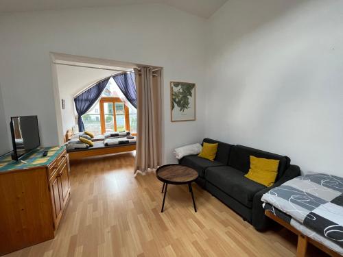 TV a/nebo společenská místnost v ubytování Apartmán s výhledem na zámek I