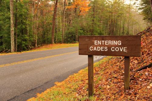 a sign on the side of a road at Live Luv Lake, Hot Tub, Private Boat Dock, WIFI,685 FREE tickets each paid day in Dandridge