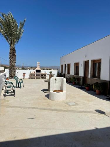 a patio with a palm tree and chairs and a building at APARTAMENTOS LA PALMERA in Fernán Pérez