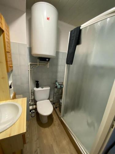 une salle de bain avec toilettes, lavabo et douche dans l'établissement Sur la plage de Bonne Source les pieds dans l'eau, à Pornichet