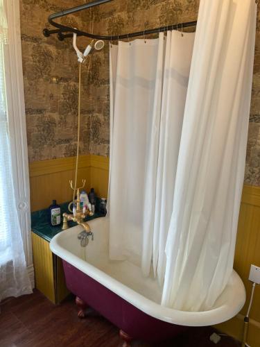 a bath tub with a shower curtain in a bathroom at Irishette - Charming Suite in 1893 Victorian Home in Dublin