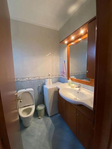 a bathroom with a toilet and a sink and a mirror at Villa Belvedere Flogita in Flogita