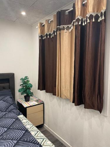 a bedroom with brown curtains and a bed and a plant at Private Rooms in center of Billund in Billund