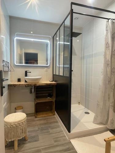 une salle de bain avec une douche, un lavabo et un miroir dans l'établissement Le jardin de l'Ostal, à Casteljaloux