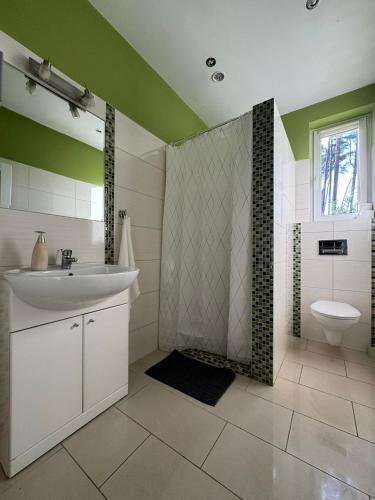 a bathroom with a sink and a toilet at Sunny Home Turawa in Turawa