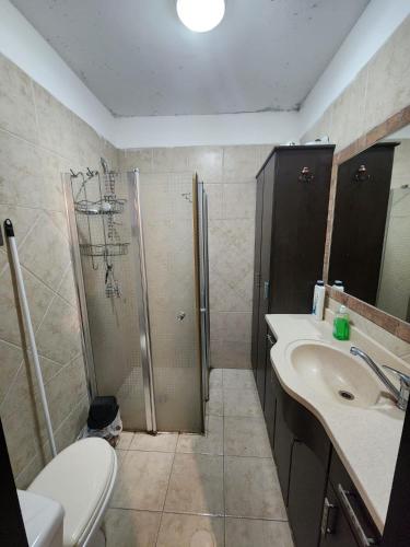 een badkamer met een douche, een toilet en een wastafel bij מיני צימר רמון in Mitzpe Ramon