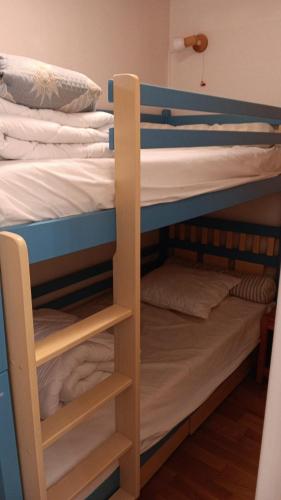 Ce lit superposé se trouve dans un dortoir doté de 2 lits superposés. dans l'établissement Appartement Cabourg Plage, à Cabourg