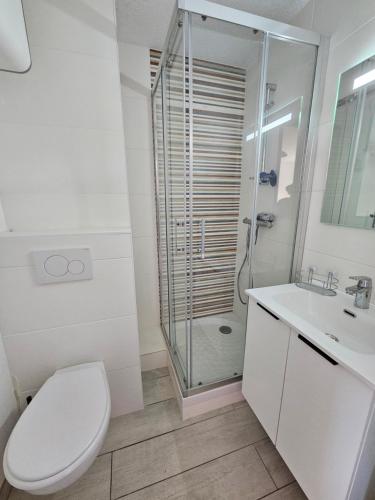 ein Bad mit einer Dusche, einem WC und einem Waschbecken in der Unterkunft Appartement idéalement placé face au lac in Soustons
